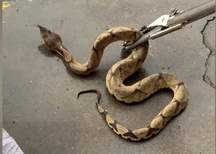 �㽭������������������¾����޴��ߡ��������ߡ�