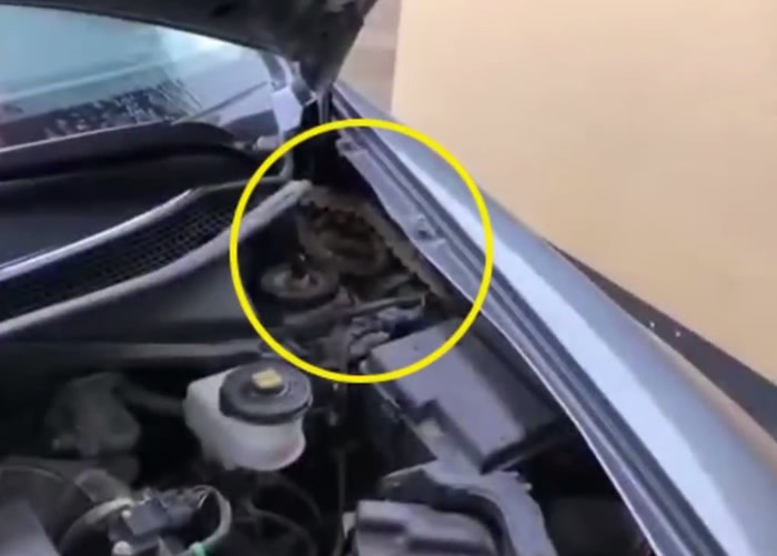 �㽭������������������¾����޴��ߡ��������ߡ�