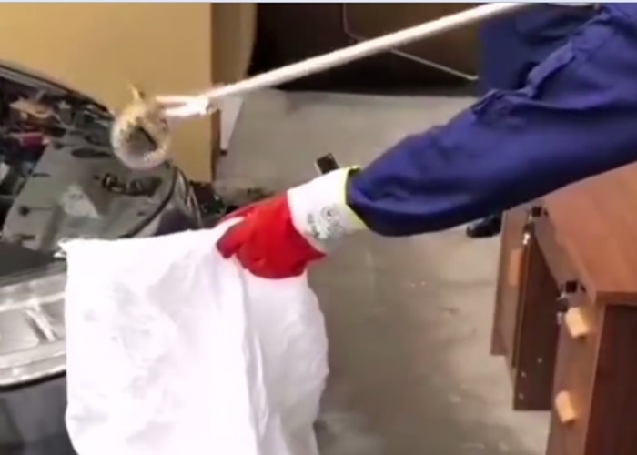 �㽭������������������¾����޴��ߡ��������ߡ�