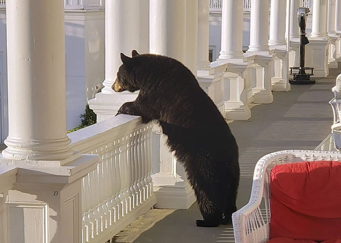 �����º���ʲ���ݺ����ô��ȼٴ� ƾ�������ͻ���ɽ����