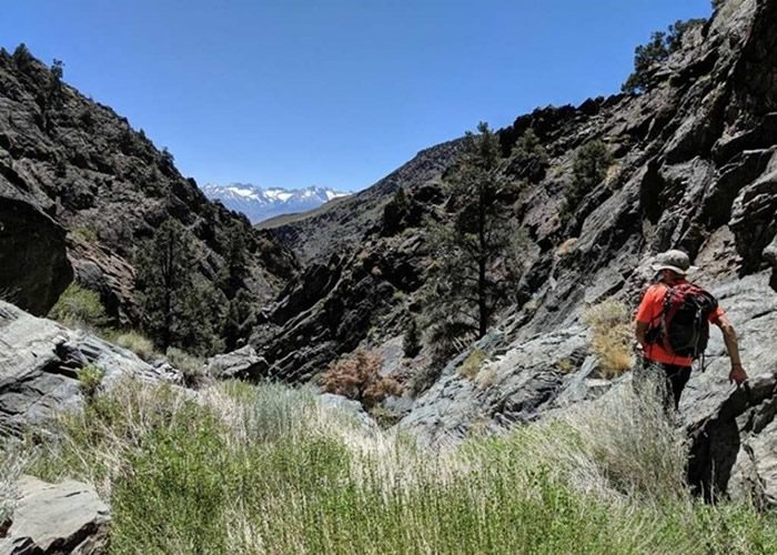 ��������60�긾��Զ��¶Ӫʱ��ֵ���ͽ׷�� �����������漣����