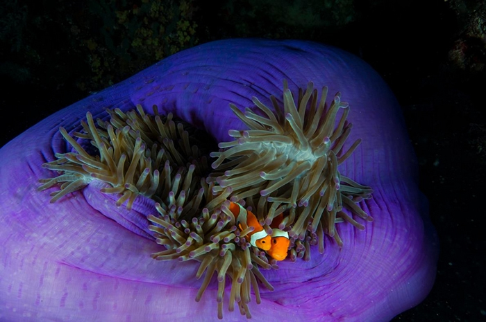 ֻСڷɱȺĺﻥڠǼ޵ĺ PHOTOGRAPH BY JENNIFER HAYES, NAT GEO IMAGE COLLECT