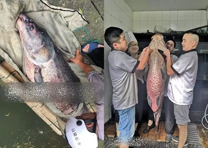 �㽭������������һ����1.6�ס������ࡱ����