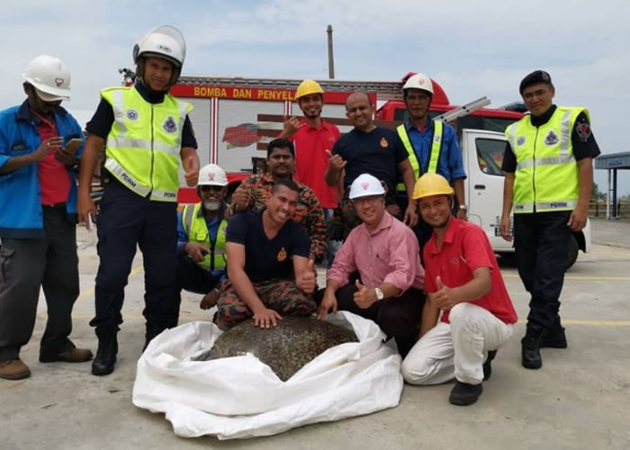 ���˺����ȳ����ꡣ