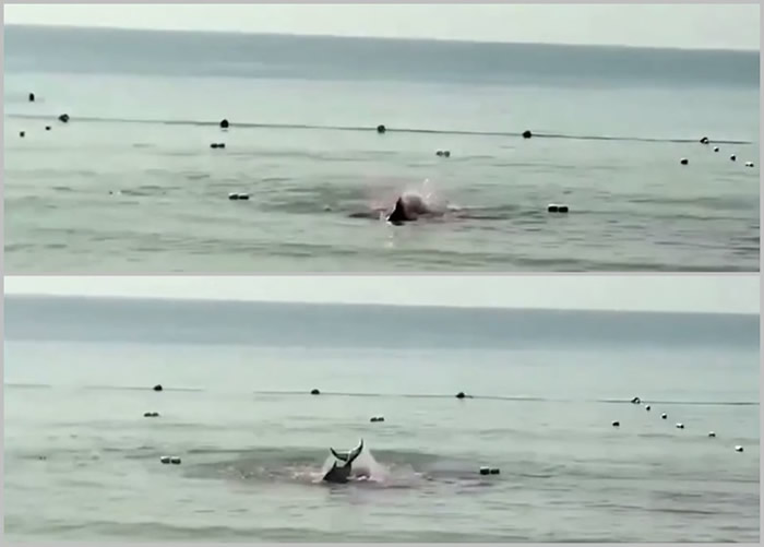 ǡ󶫺ҧˡҥʵΪ˾ǳ