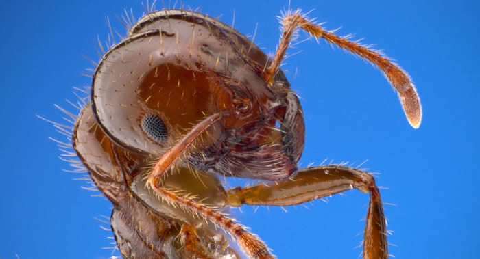 �Ĵ����ǵ���������Ϊ����ĩ����׼��