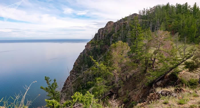 ��ɫ��ƽ��֯�����Ƴ����� ͨ��EarthAppӦ�ó������ϻ�����