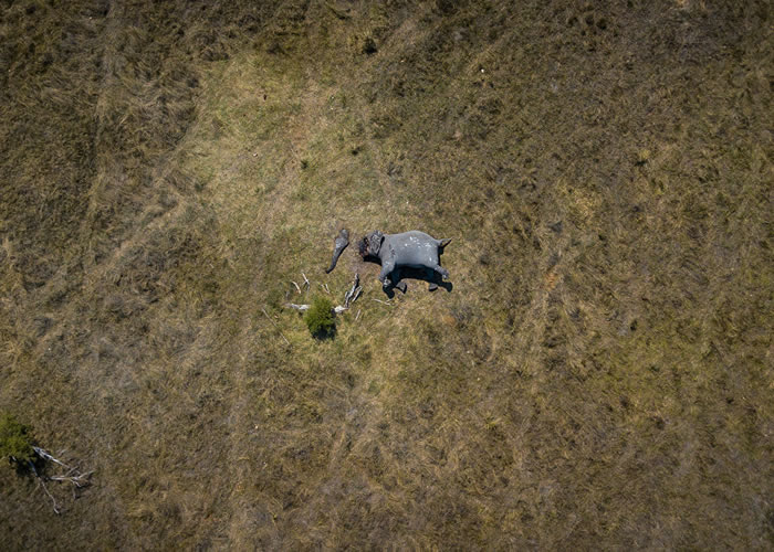 ޲ɵΪѴ 𺳺ƬDisconnectionع