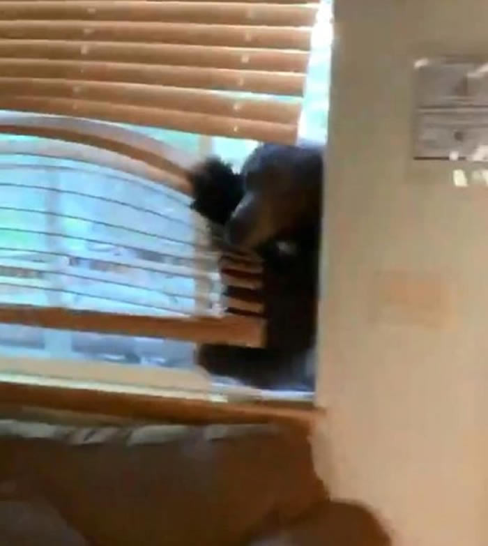 ���������������������ͼ����ȼ����Ż�2��Ů��