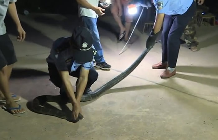 ����ʡ�ն�����������լ����60��ֻ����ʧ ���ץ��޴��۾�����