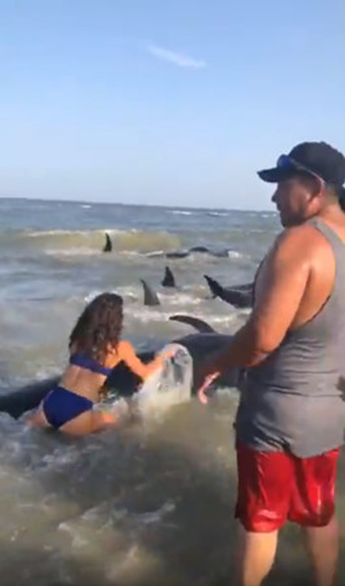 �����������ݺ�̲�ο�����50��ֻ��ǳ�캽��