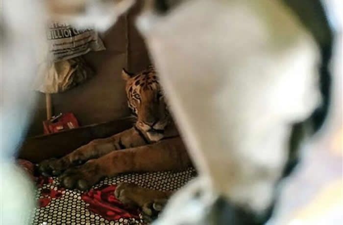 ӡ�Ȱ���ķ���ϻ���ˮ�ִ������ſ���˼Ҵ���˯����