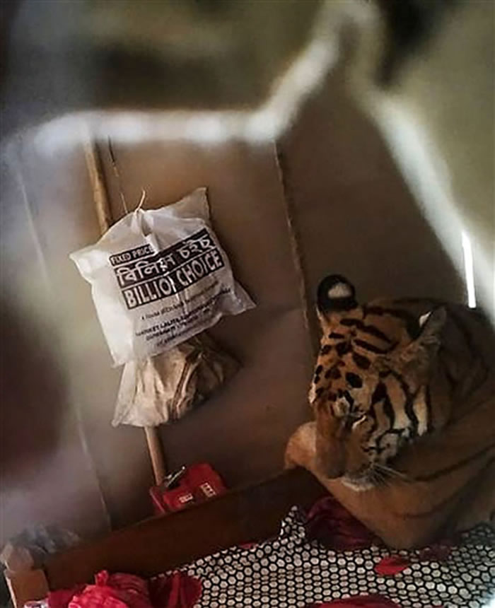 ӡ�Ȱ���ķ���ϻ���ˮ�ִ������ſ���˼Ҵ���˯����