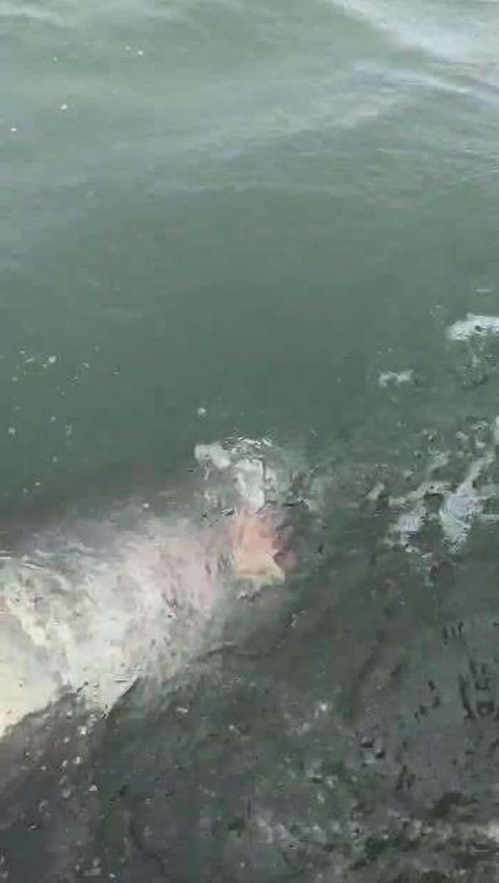 ���������ھɽ�ɽ���Ŵ��ŵ���ʱ�������һ�������