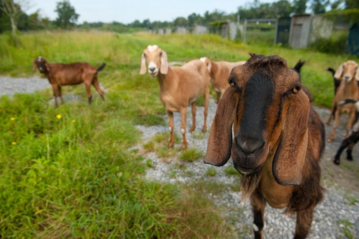 ɽ���Ǵ���������Զ�� ���о���ʾ�����ǿ��Դ�����ɽ��Ľ����У��ж϶Է��ǿ��ֻ��Ǿ�ɥ�� PHOTOGRAPH BY JOEL SARTORE, NAT GE