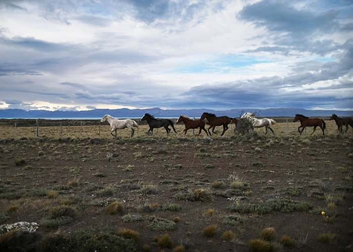 �����ɴ����ݺ������������ҹ�԰�۹��ÿͱ����й�Ұ����������·���