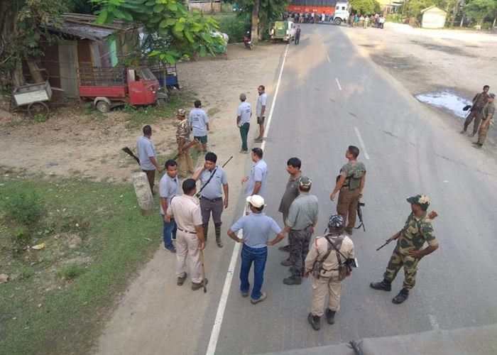 印度阿萨姆邦受国家公园水浸影响 老虎走入民居避难