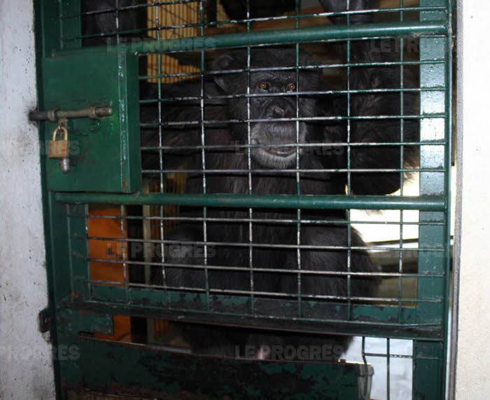 ��������԰һֻƢ���ܺõĺ����ɵ����ο͵���ҧ��������Ա��ֻ�ֱ�