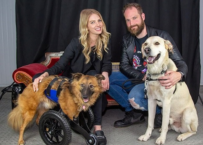 乌克兰小狗因在花园挖洞激怒主人被狠斩前脚 挣扎爬至邻居家前获救