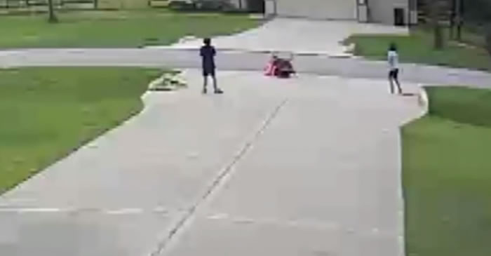 美国德州斗牛犬扑向6岁男童 19岁少年英勇营救