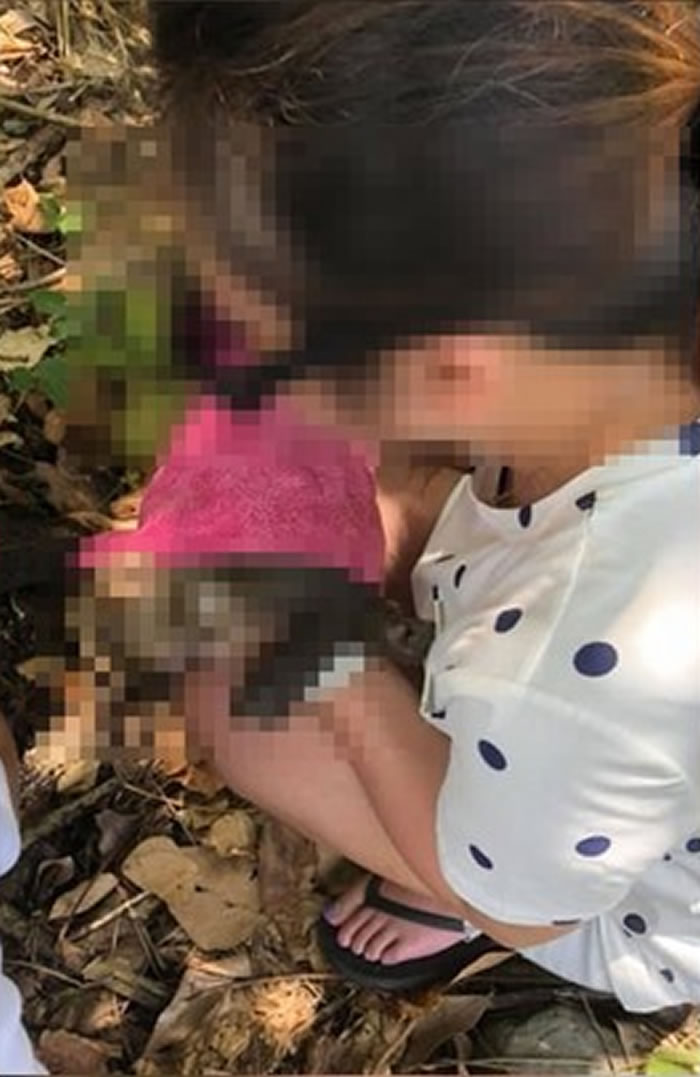 台湾宜兰小猴子疑遭人电击惨死 县政府要查