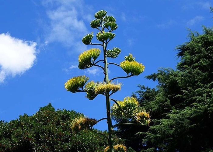 ձձȹȹ԰6׸50׿ ڵմ