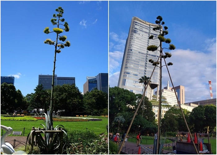 ձձȹȹ԰6׸50׿ ڵմ