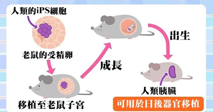 实验将依图中过程进行。