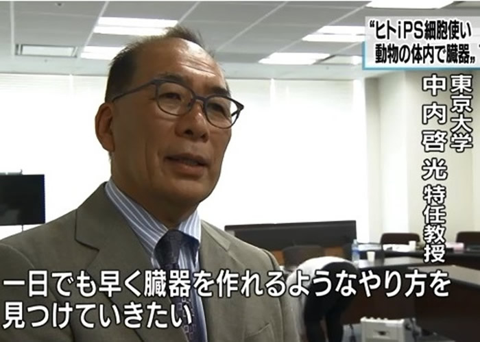 中内啓光在史丹福大学亦有进行相关遗传学研究。