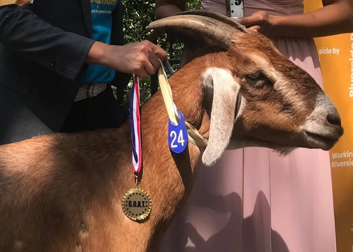 �ѳԵ�1328����������ֲ��ķ�ɫɽ��÷����Massey��λ�а���