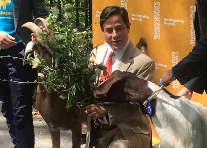 �Ǿ�����(ͼ��)͵��÷����ͼ�󣩵Ľ�Ʒ��