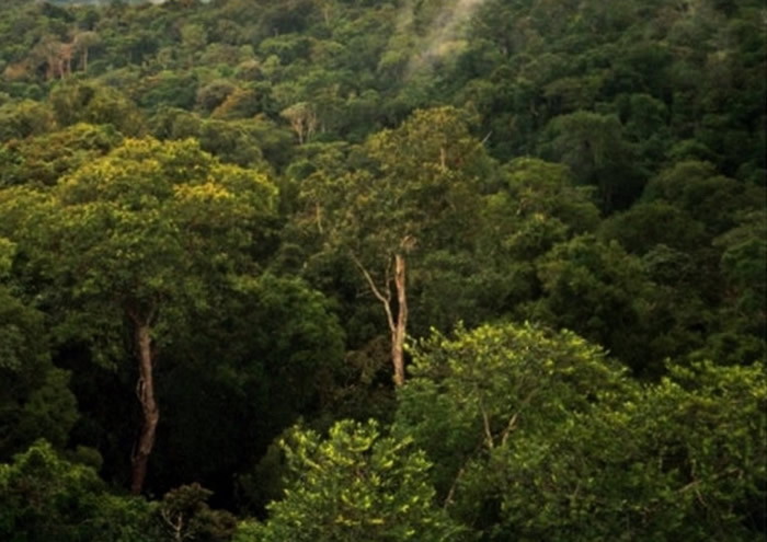 欣古盆地的生态系统恐会受损。