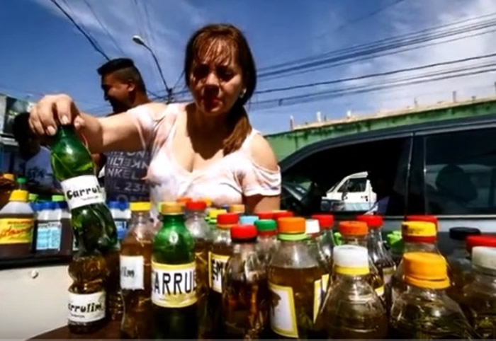 巴拉圭民众每逢夏季就会喝卡鲁林。