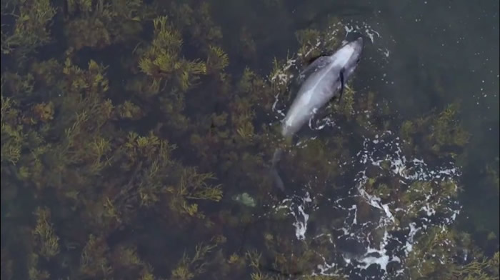 50���캽�������ǳ������̲ �幤��ҹ���Ԯ��