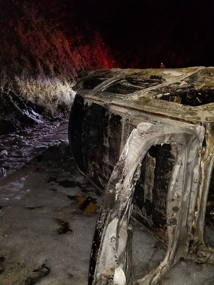 ����������������һͷ�ܴ������ϵ������䵽������