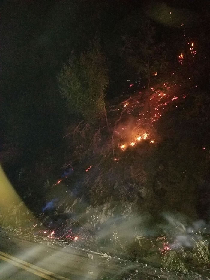 ����������������һͷ�ܴ������ϵ������䵽������