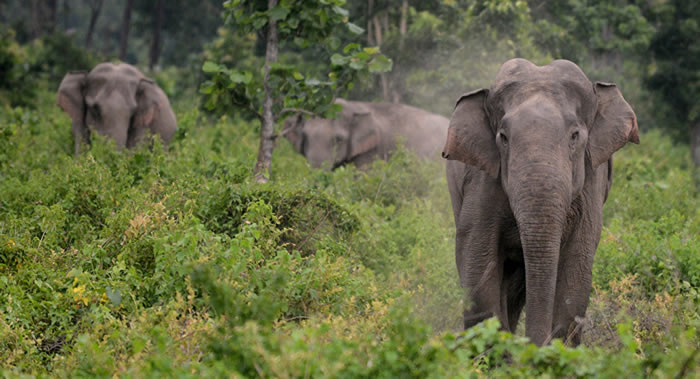 ӡ�ȶ��������������ұ���Ⱥ���� ����ס������