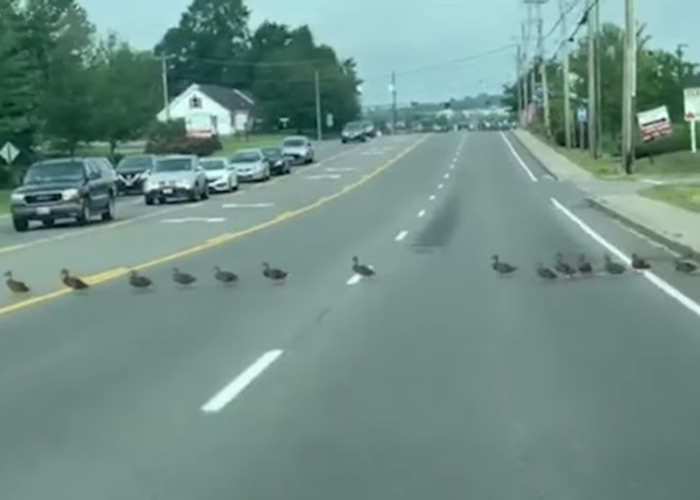 Ѽ45СѼƺƵŶӹ· ȫͣ·