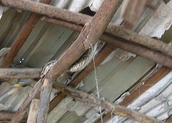 �������̾��ڼ���ĺ����ϡ�