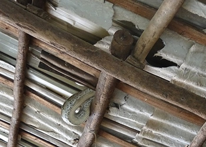 �����ߵ�λ��ʮ�����Ρ�