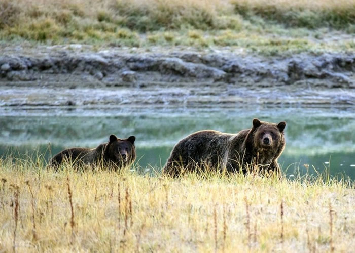 �����޶��󣬱�Σ����Ĵ�������ÿ��ǡ�