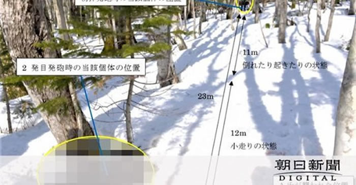 日本北海道知床半岛74岁猎人打猎遭到棕熊攻击 咬棕熊鼻子最终逃脱