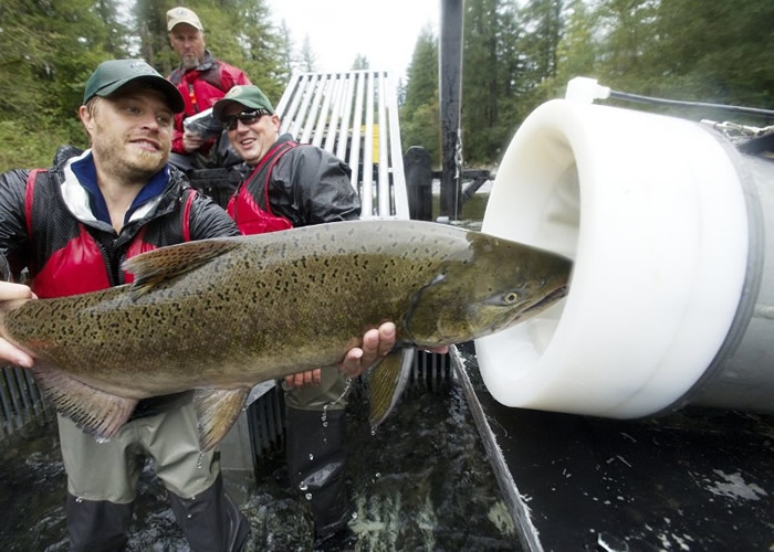 ������˾����ǰ��������������ڡ������� �����г̱�����