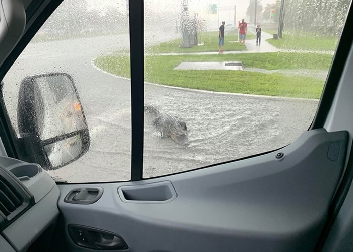 �������������Ƥ����˹��2.4�׳�������������· �����������쳣����