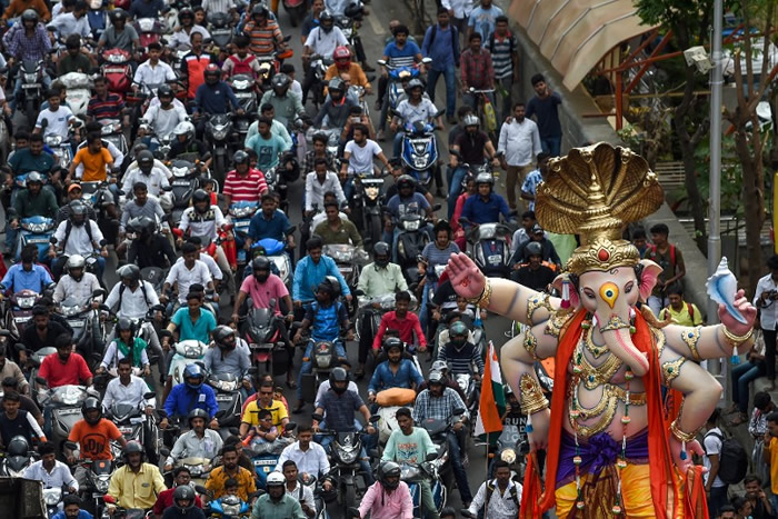 斯里兰卡70岁老象受虐倒下 当局下令调查象牙节