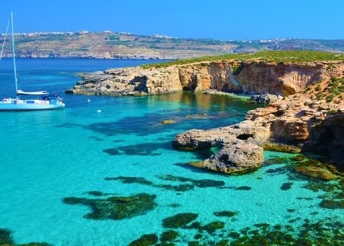 ���������������͵�ߵ���40������ɳΪ����Ʒ���� �������6����