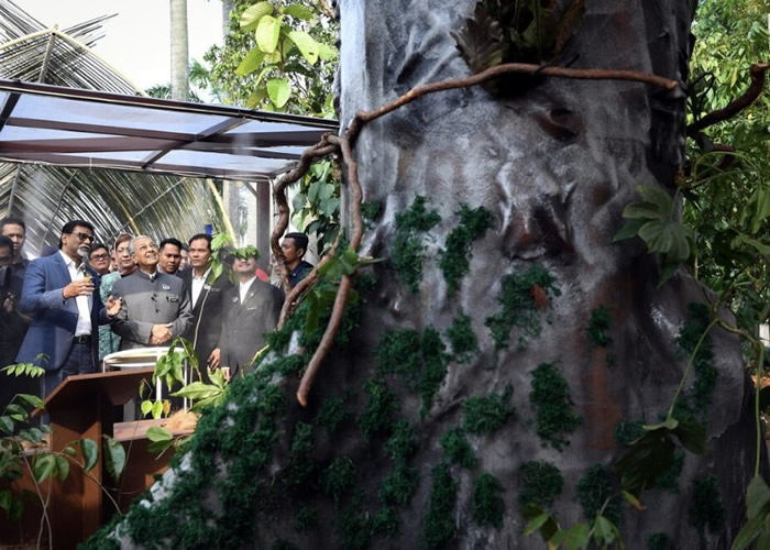 马哈蒂尔(左二)在展览中观赏一棵印茄树。