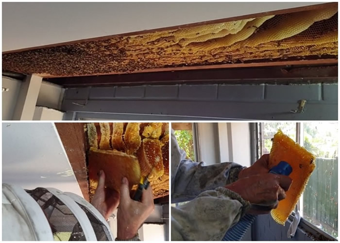 ������ʿ��ʡ����˹��ס�����־��ͷ䳲 ��50������Ϣ6���۷�