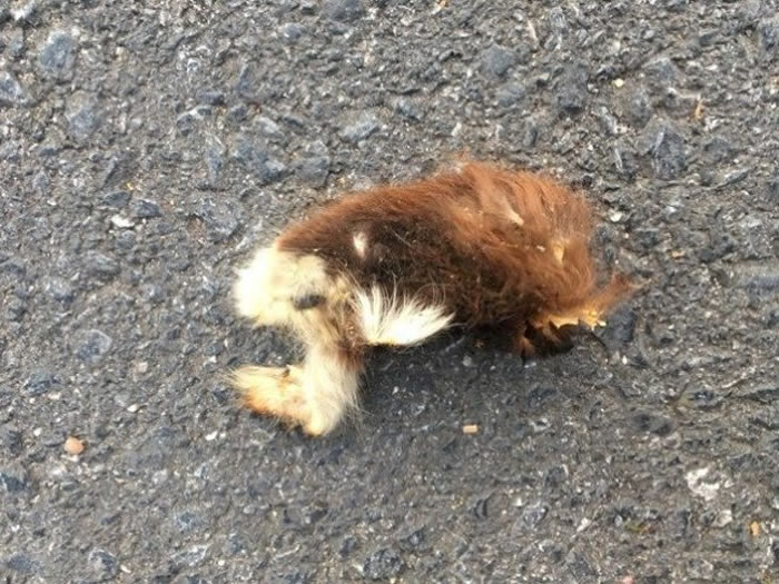 Ӣ����Ÿ�����Ժ���߼����� 1�º���ж����տ�����