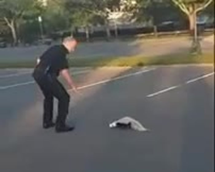 ���ٷ���ͷ��������ֽ���ڵĳ�����